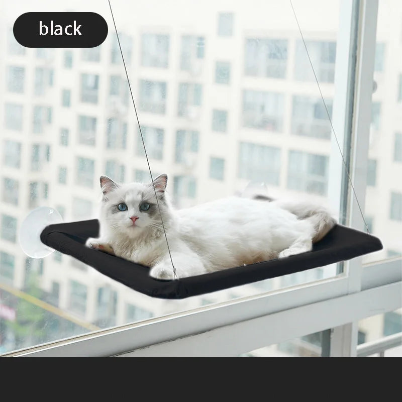 Pet Hammock