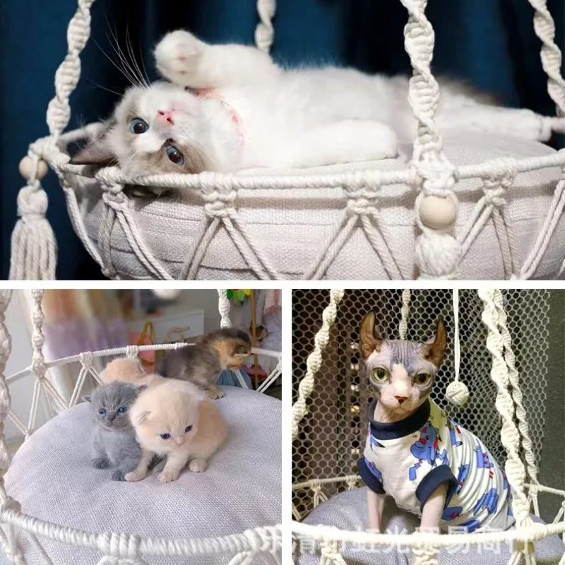 Pet Hammock