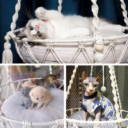Pet Hammock