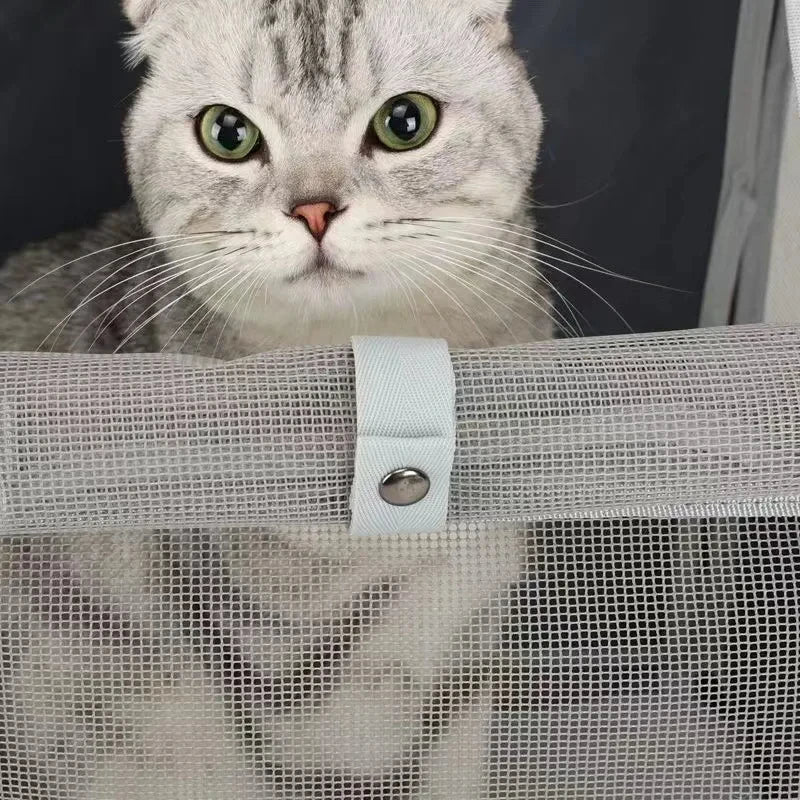 Travel Backpack for Cats Small Dogs