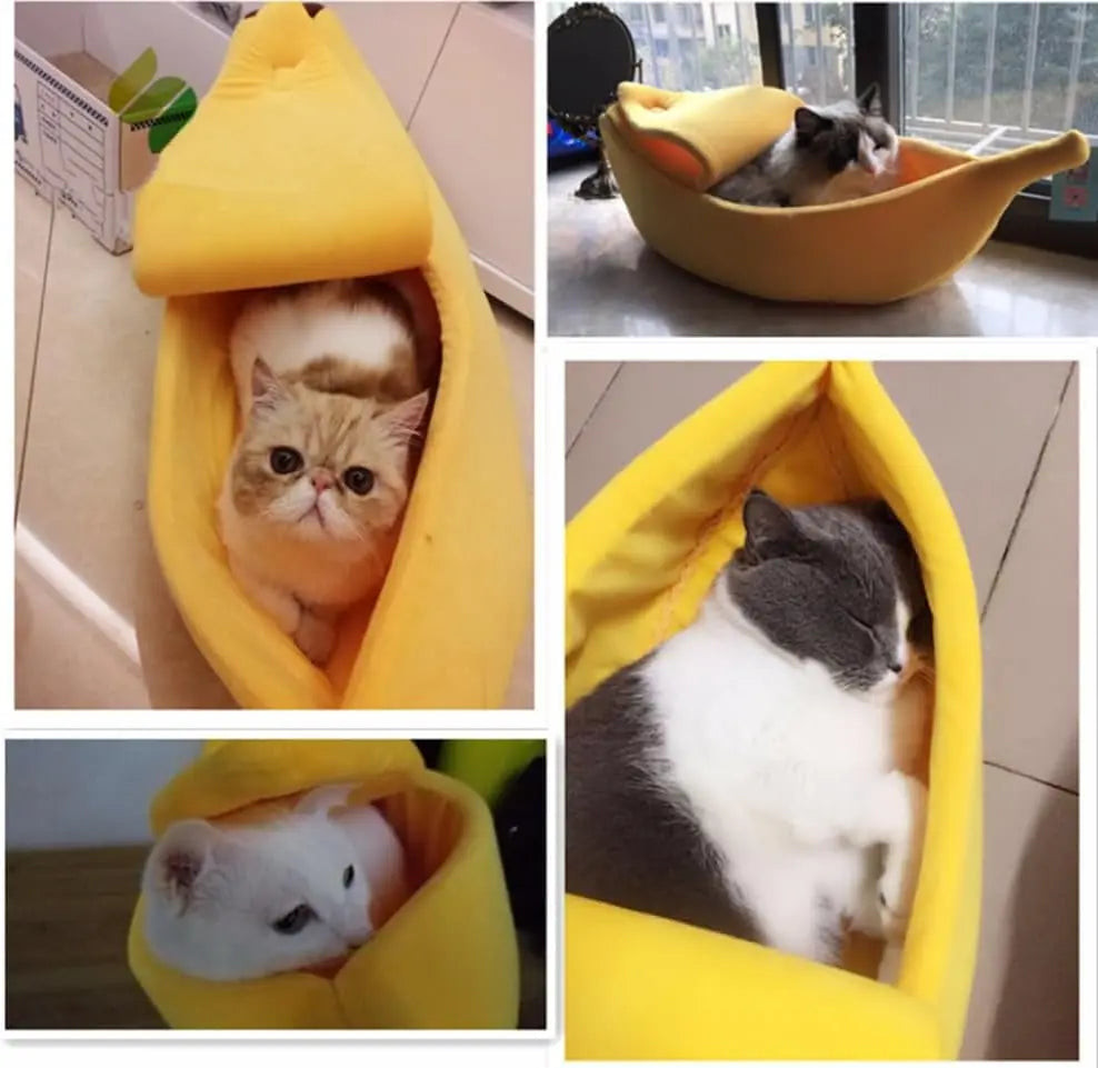 Banana Shaped Bed