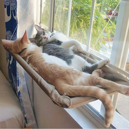 Pet Hammock