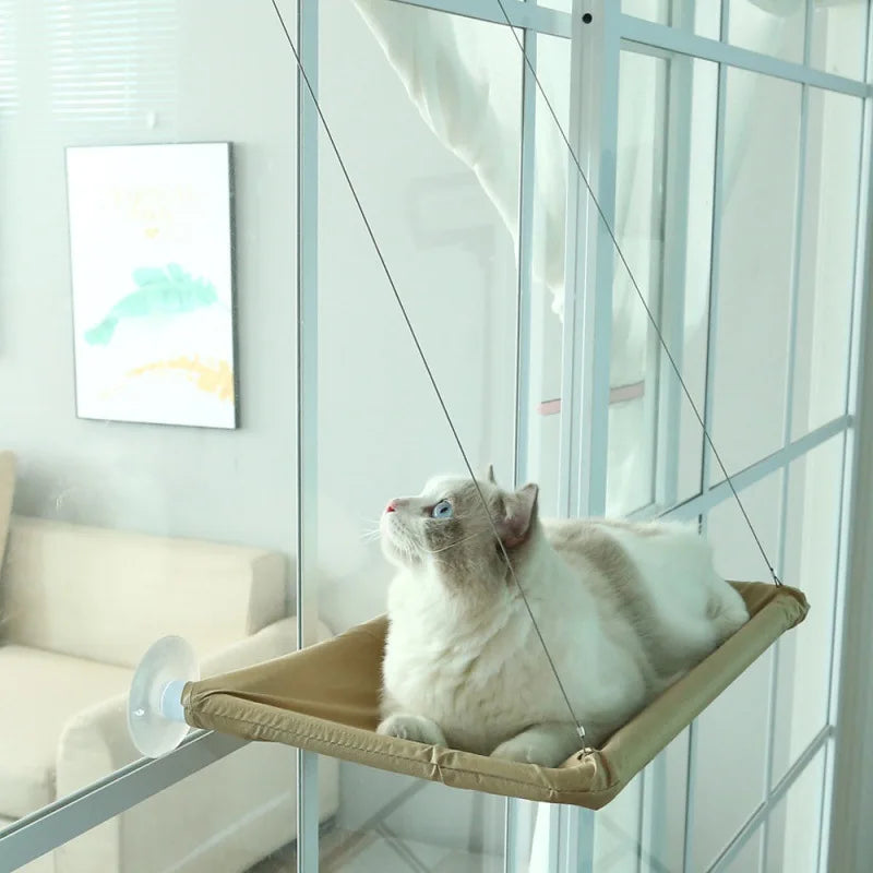 Pet Hammock