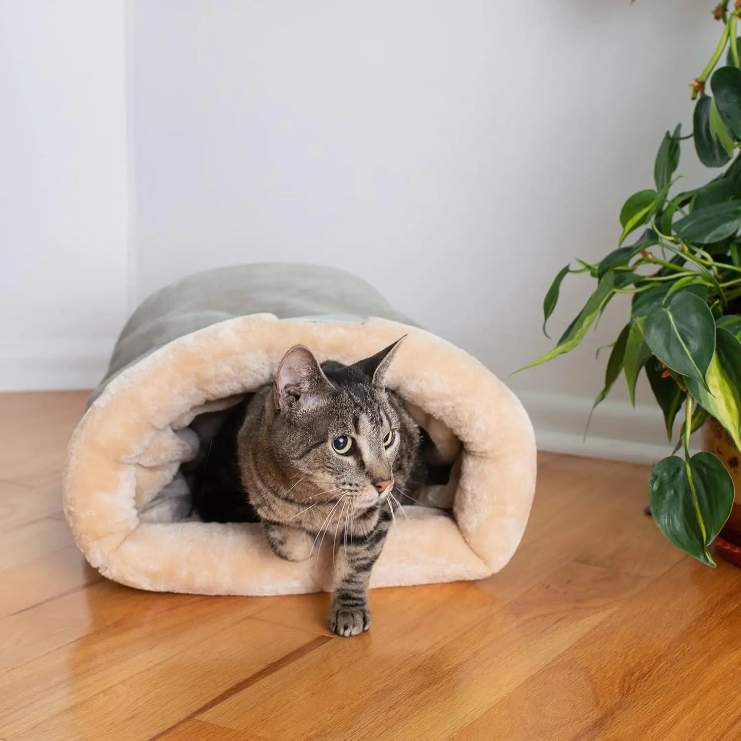 Pet Sleeping Bag