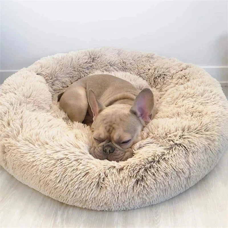 Super Soft Pet Bed