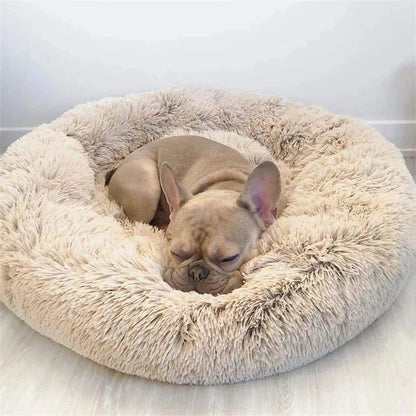 Super Soft Pet Bed